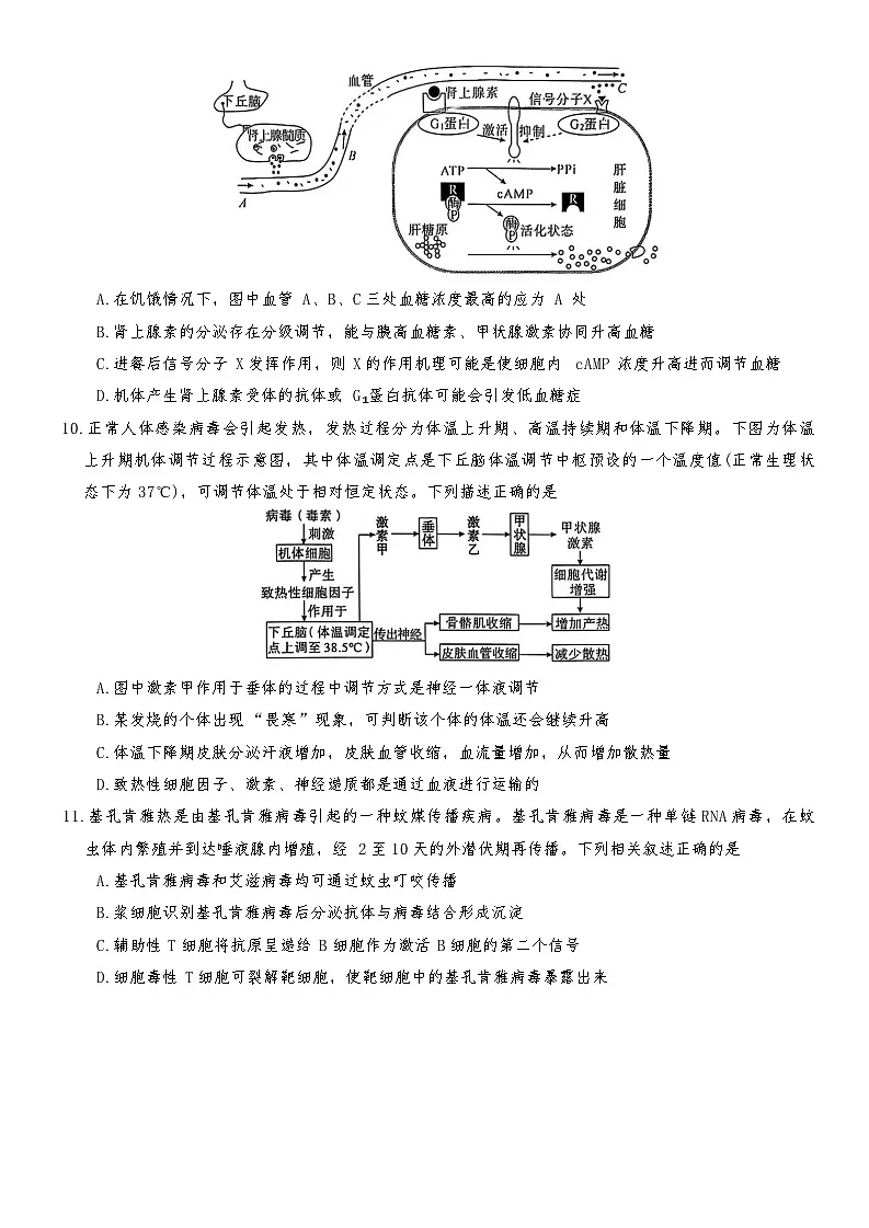 湖南省名校联盟大联考20252026学年高二上学期期中考试生物试卷第3页