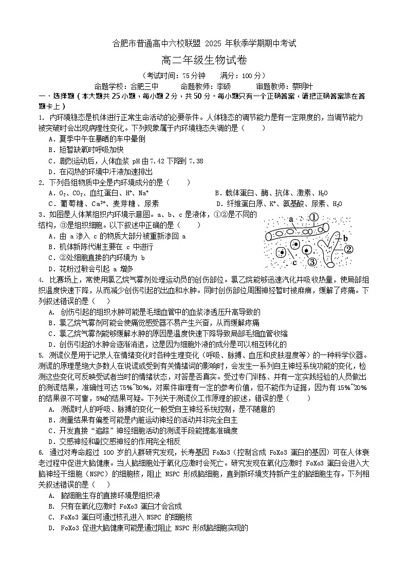 安徽合肥市六校联盟2025-2026学年高二上学期11月期中考试生物试卷第1页