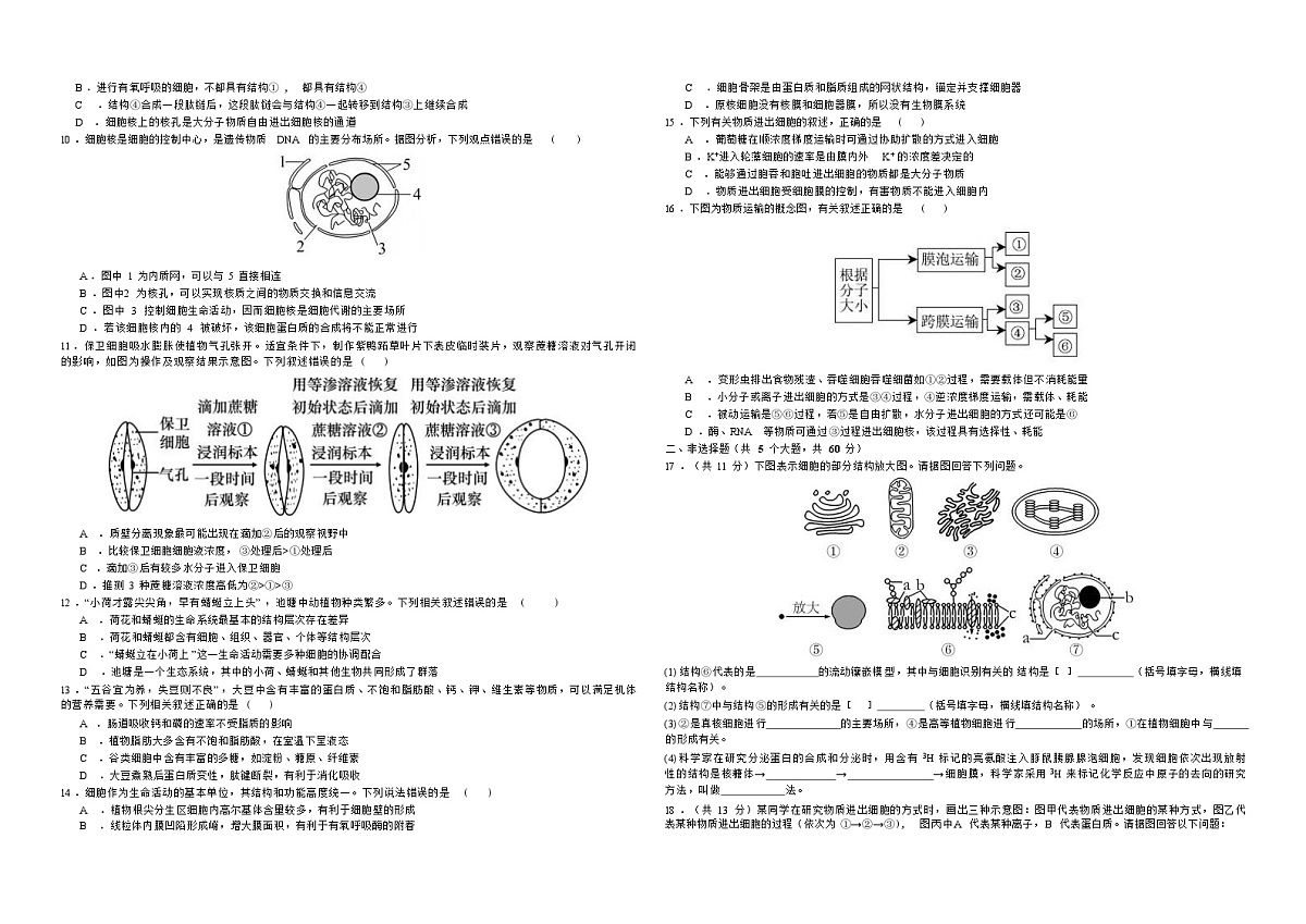 广西桂林师大附中2025-2026学年高一上学期11月期中考试生物试卷第2页