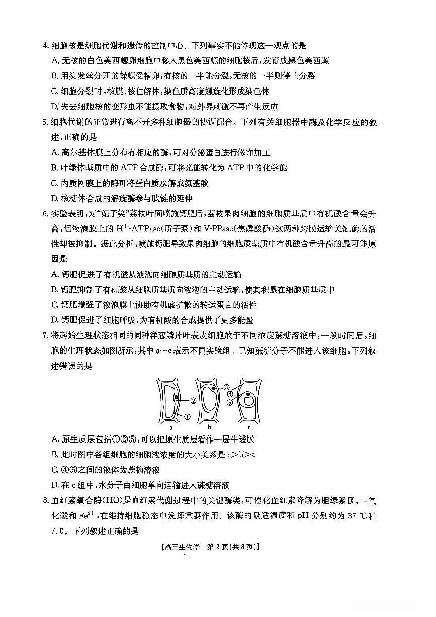 福建省金太阳2026届高三上学期11月半期考高三上学期生物试卷+答案第2页