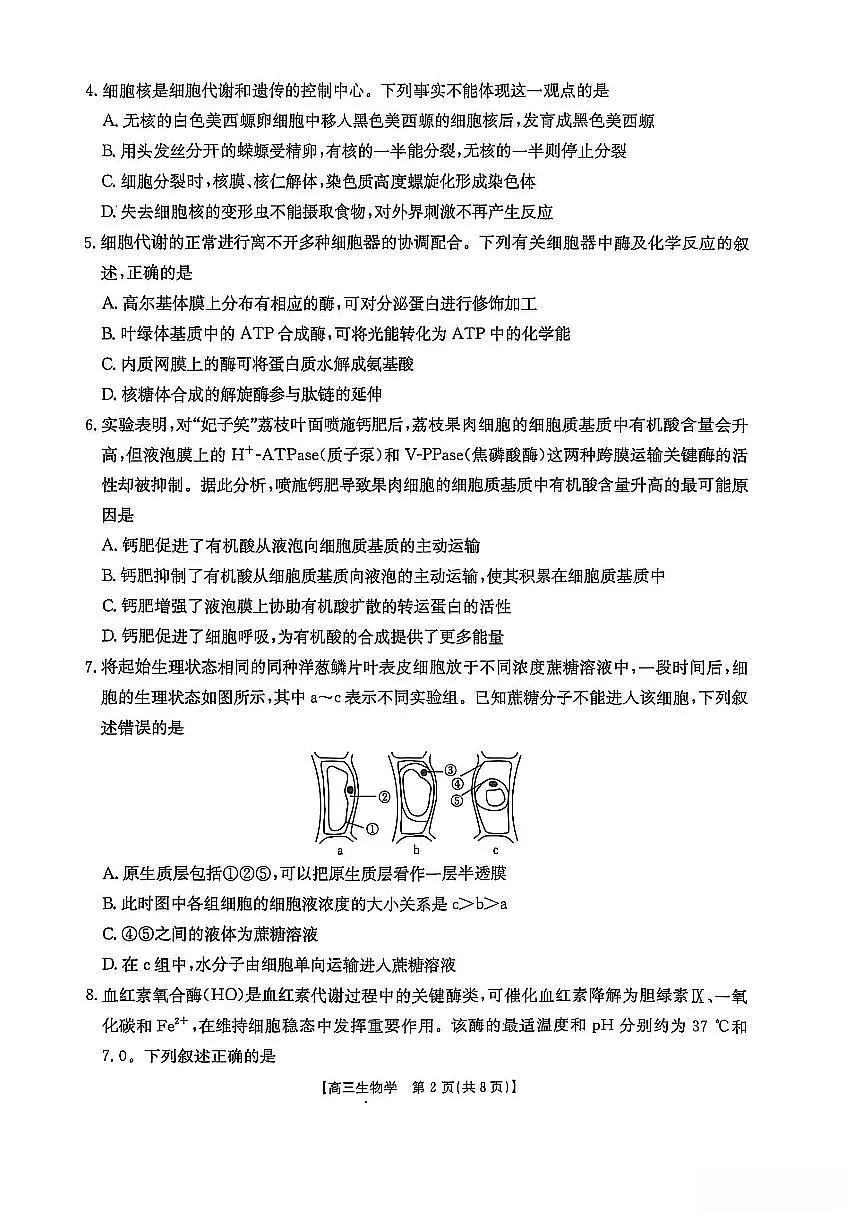 福建省金太阳2026届高三上学期11月半期考高三上学期生物试卷+答案第2页