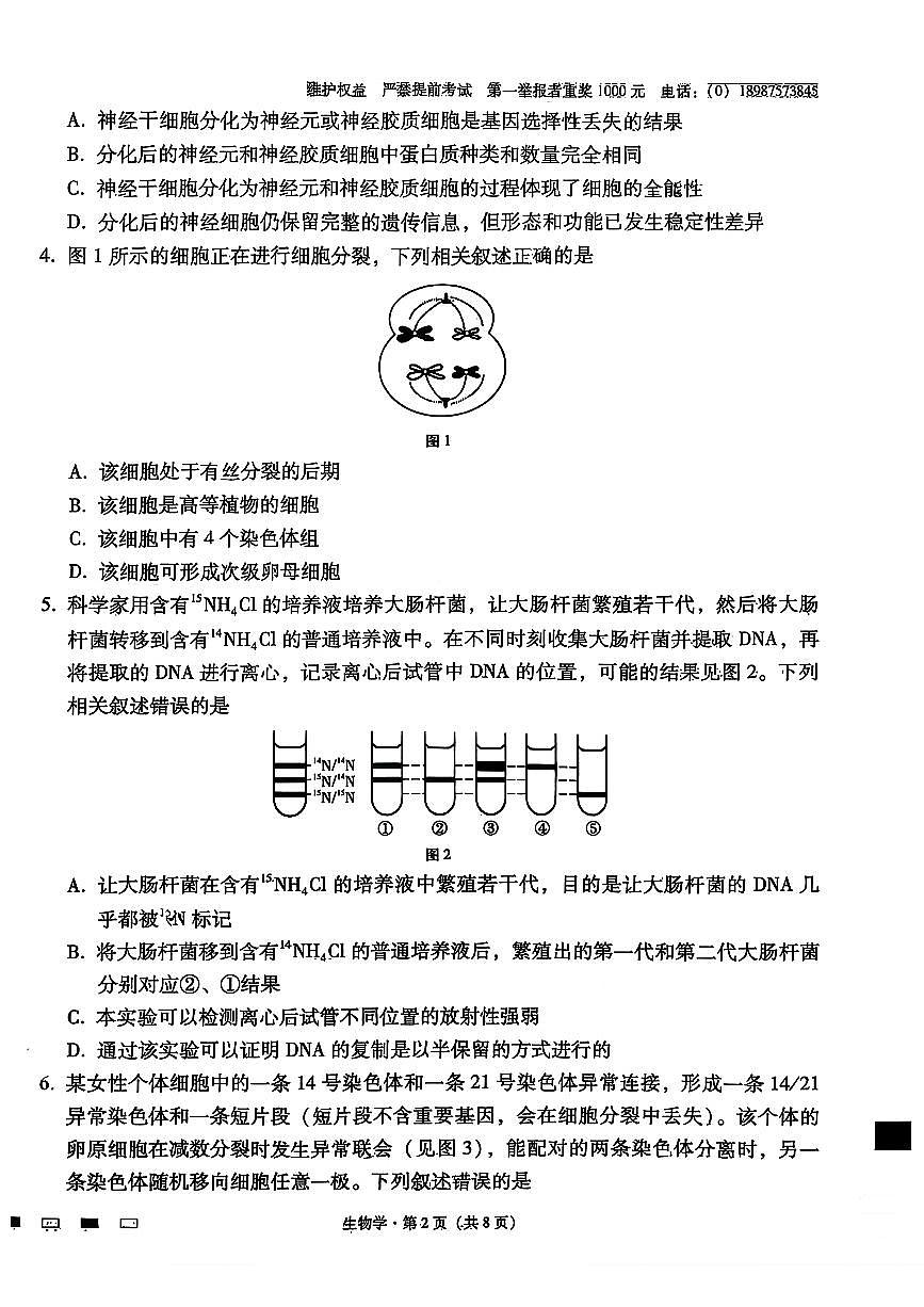 云南省师大附中2026届高三上学期11月适应性月考五生物试题+答案第2页