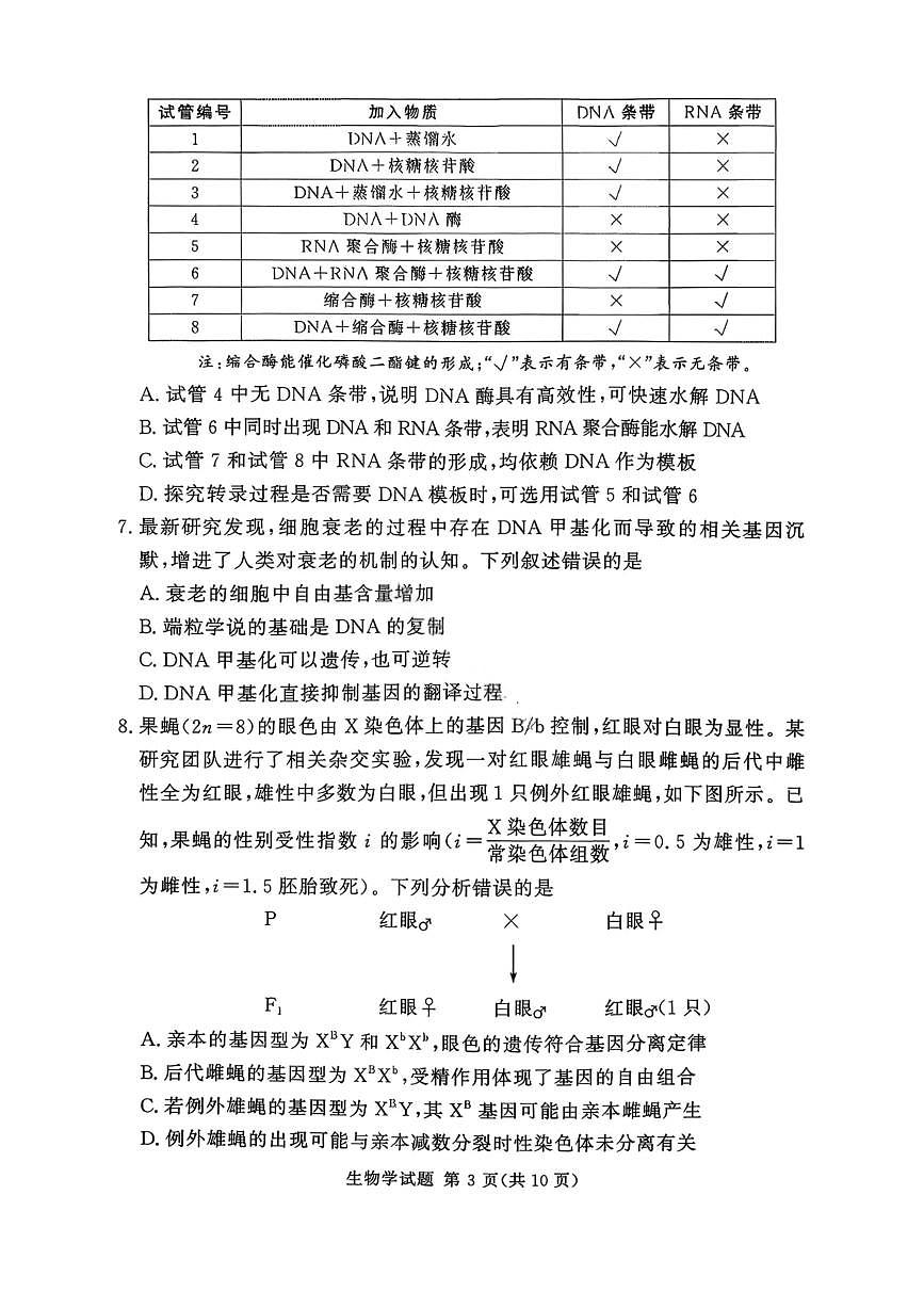 湘豫名校联考2026届高三上学期11月一轮复习诊断生物试题+答案第3页