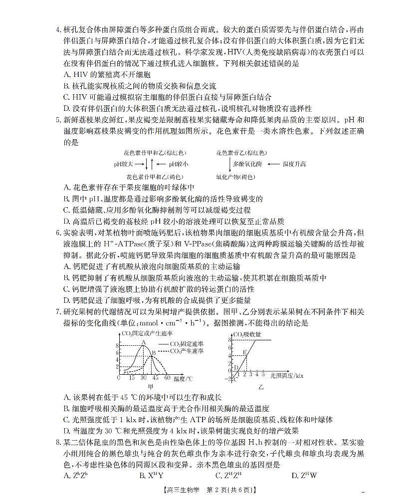 四川省金太阳2026届高三上学期11月联考生物试题+答案第2页
