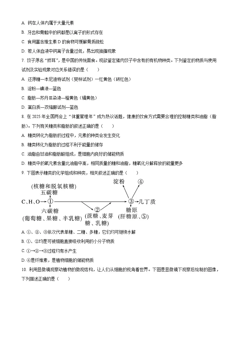 浙江省金兰教育合作组织2025-2026学年高一上学期11月期中生物试题 Word版无答案第2页