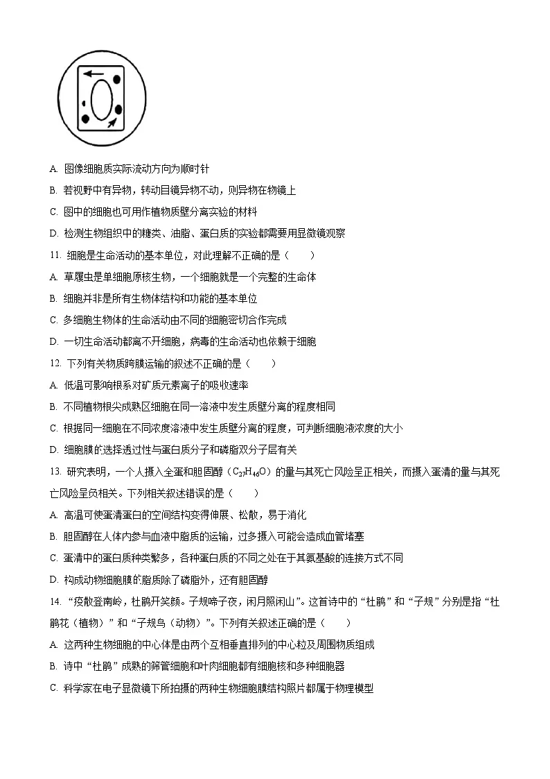 浙江省金兰教育合作组织2025-2026学年高一上学期11月期中生物试题 Word版无答案第3页