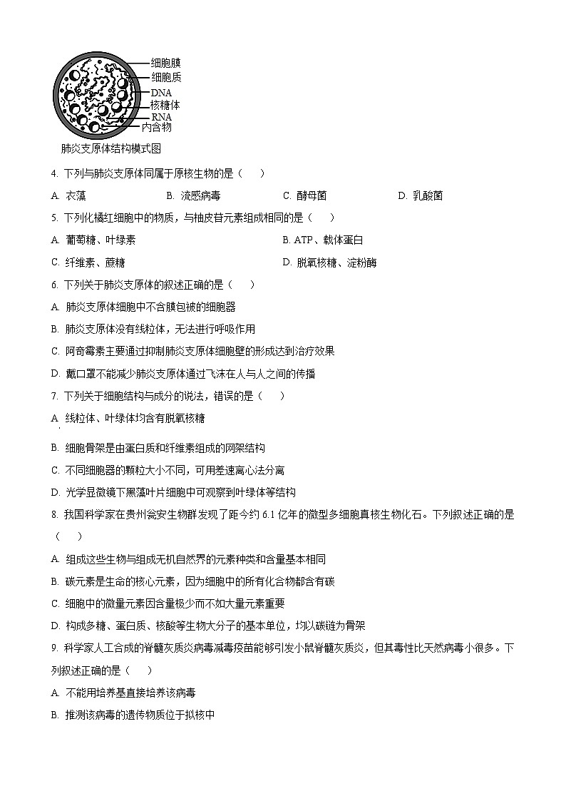 浙江省环大罗山联盟2025-2026学年高一上学期11月期中生物试题  Word版无答案第2页