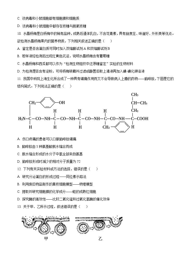 浙江省环大罗山联盟2025-2026学年高一上学期11月期中生物试题  Word版无答案第3页