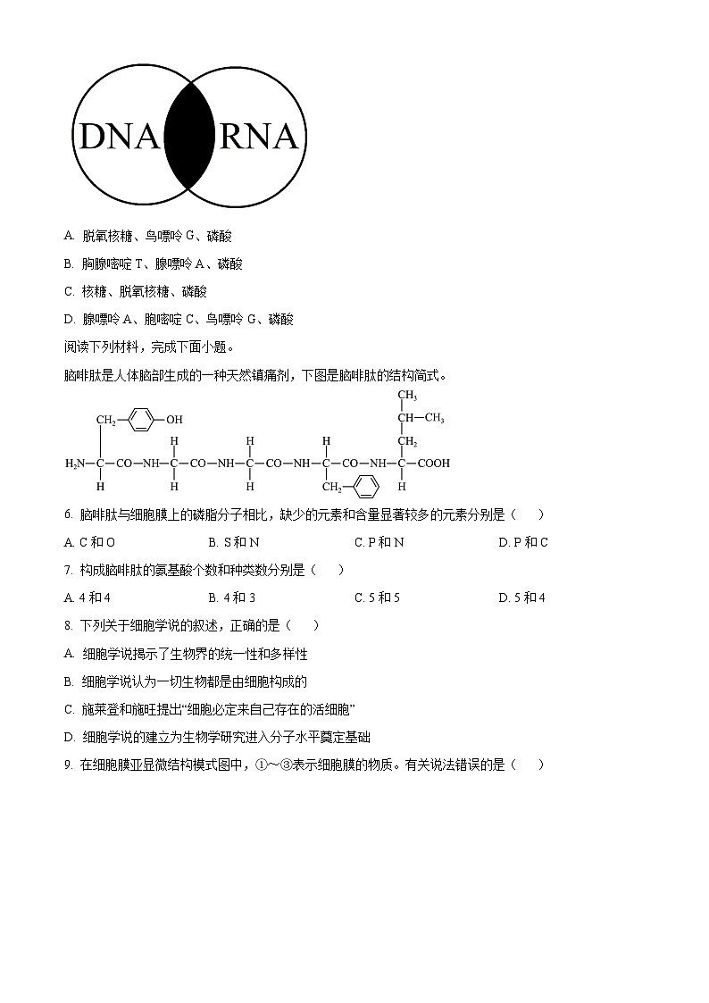 浙江省五湖联盟2025-2026学年高一上学期11月期中生物试题  Word版无答案第2页
