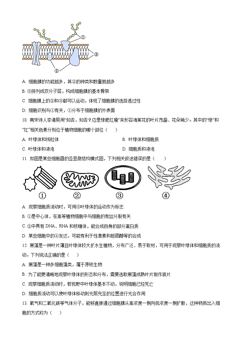 浙江省五湖联盟2025-2026学年高一上学期11月期中生物试题  Word版无答案第3页