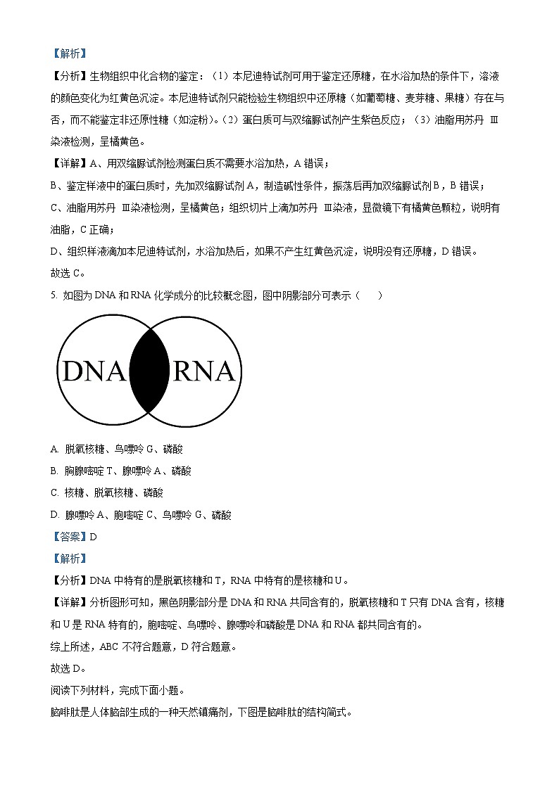 浙江省五湖联盟2025-2026学年高一上学期11月期中生物试题  Word版含解析第3页