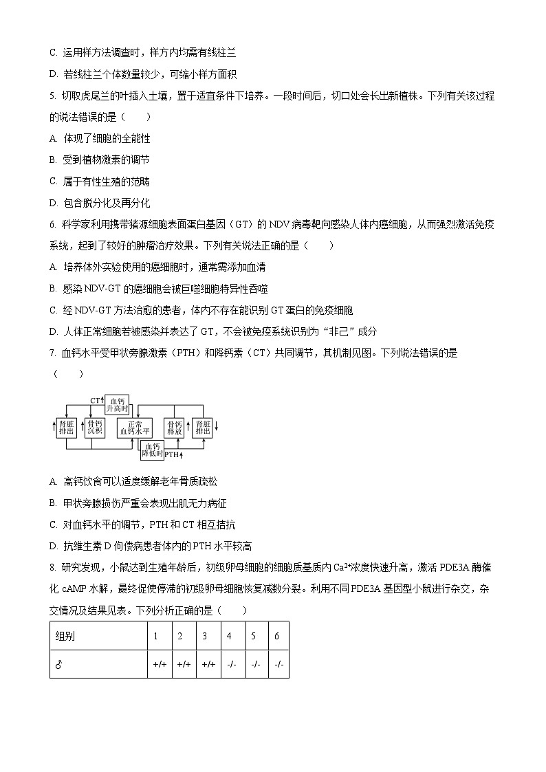 2025高考广西卷生物（原卷版）第2页