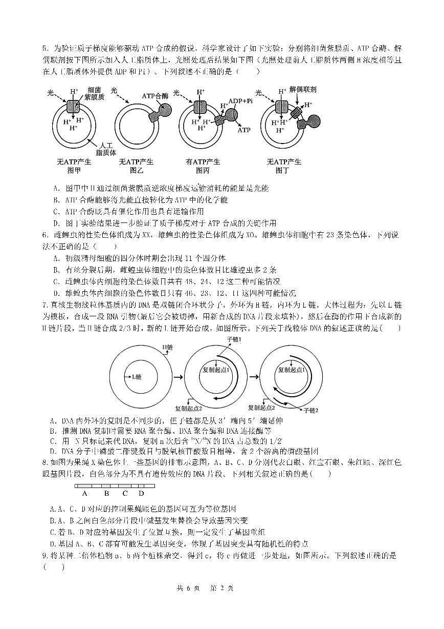 四川省成都市第七中学2025-2026学年高三上学期11月期中考试生物试卷（含答案）第2页