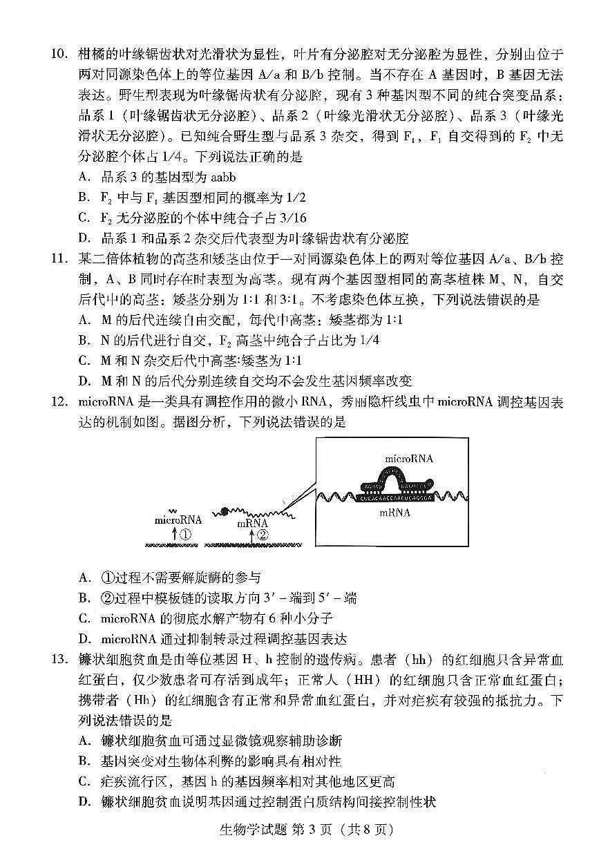 山东省潍坊市2025-2026学年高三期中考试阶段性诊断监测生物试卷（含答案）第3页