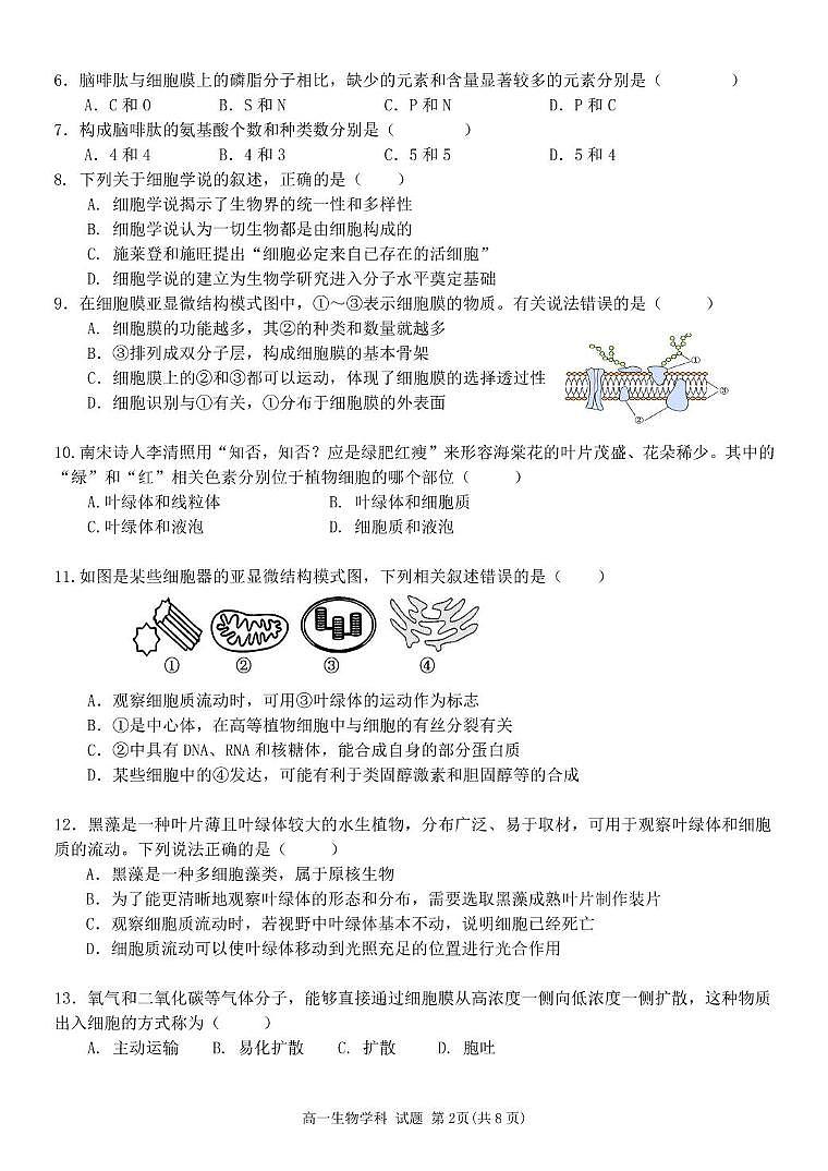 浙江省五湖联盟2025-2026学年高一上学期期中联考生物试卷（含答案）第2页