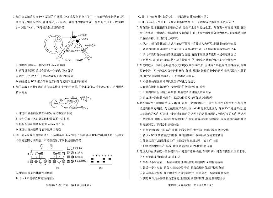 河南省、陕西省天一大联考2025-2026学年（上）高三年级天一小高考（二）生物试卷(A卷)（含答案）第2页