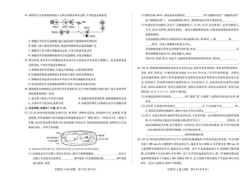 河南省、陕西省天一大联考2025-2026学年（上）高三年级天一小高考（二）生物试卷(A卷)（含答案）第3页