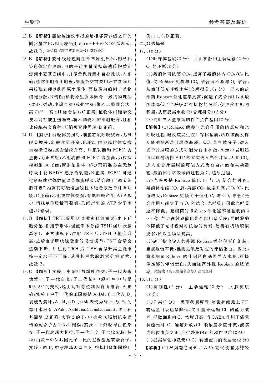 2025年衡水金卷高三上学期11月期中生物试题答案第2页