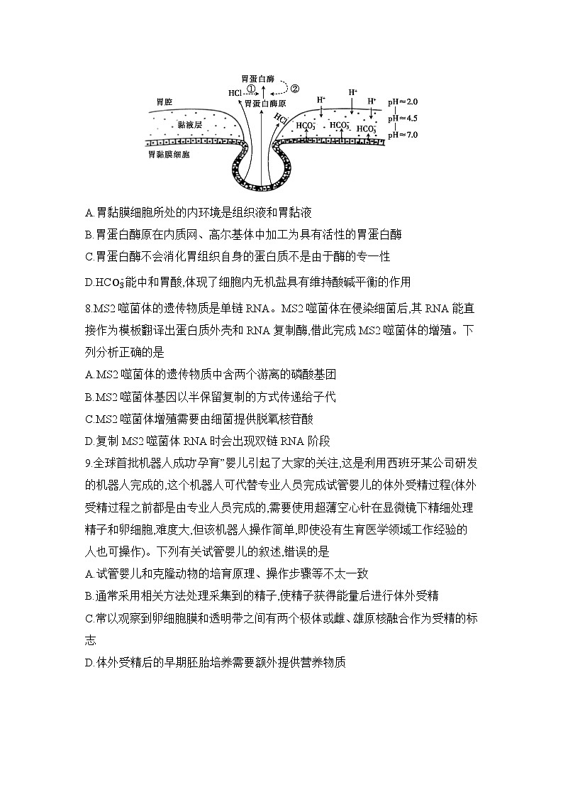 安徽省阜阳市临泉县田家炳实验中学2024-2025学年高三下学期开学考试生物试题第3页
