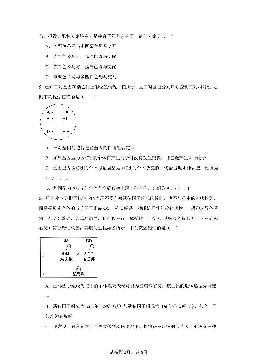 安徽省六安市裕安区六安市裕安区新安中学2024-2025学年高一下学期3月月考生物试题第2页