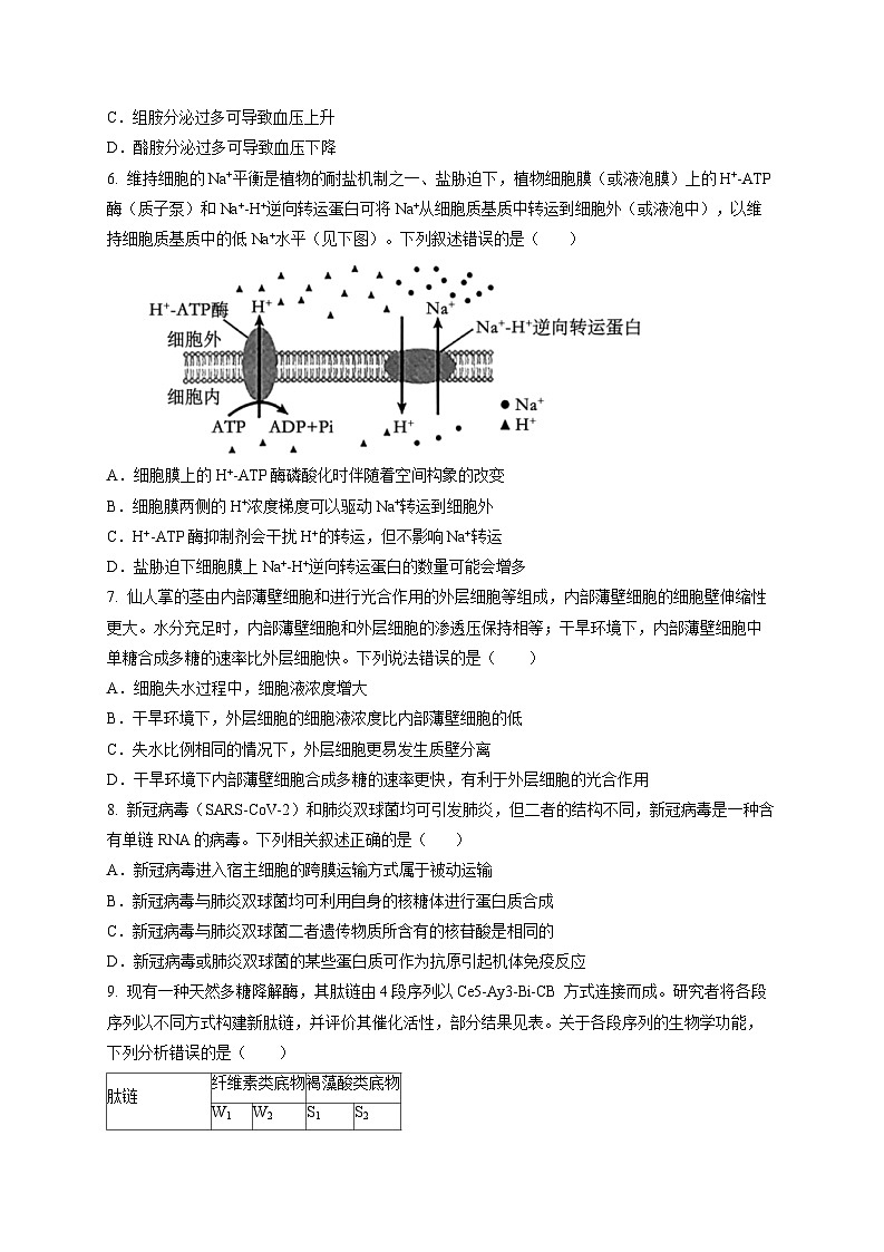 安徽省合肥市五中2024-2025学年高三上学期11月月考生物试题第2页