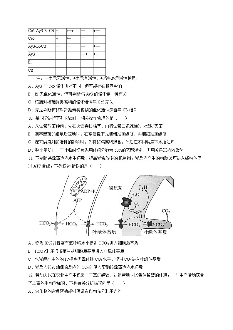 安徽省合肥市五中2024-2025学年高三上学期11月月考生物试题第3页