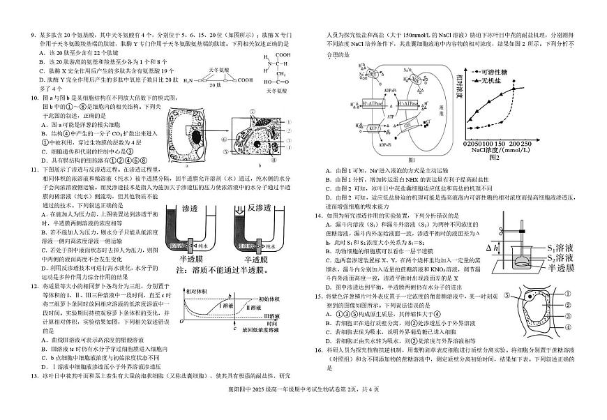 湖北省襄阳市第四中学2025-2026学年高一上学期期中考试生物试题第2页