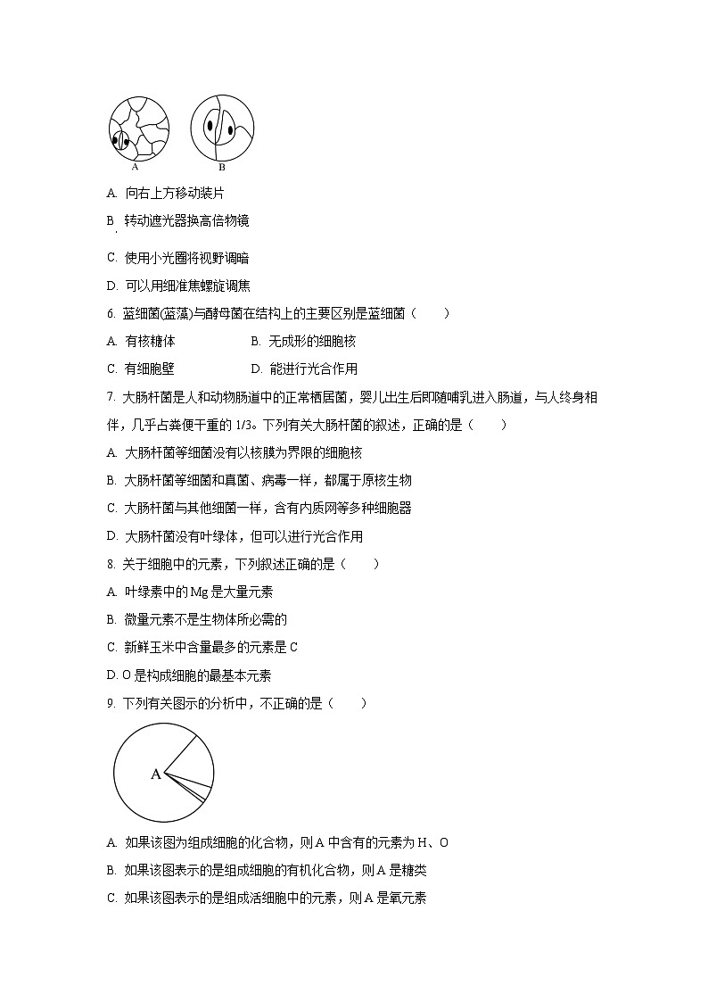 广东省茂名地区部分学校联考2025-2026学年高一上学期10月月考生物试卷（学生版）第2页