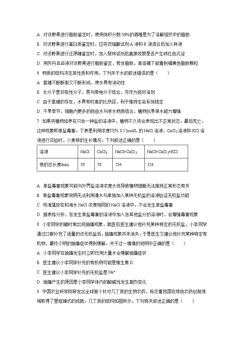 广东省汕头市潮阳某校2025-2026学年高一上学期第一次月考生物试卷（学生版）第2页