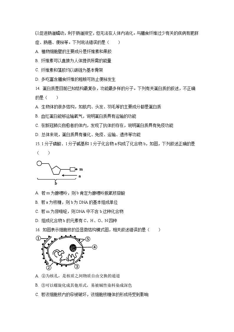 陕西省镇安县某校2025-2026学年高一上学期11月期中生物试卷（学生版）第3页