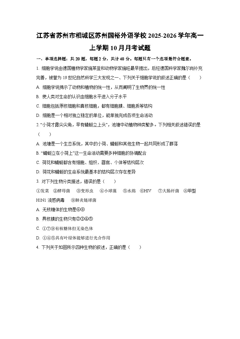 江苏省苏州市相城区苏州国裕外语学校2025-2026学年高一上学期10月月考生物试卷（学生版）第1页