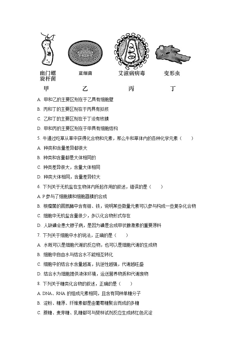 江苏省苏州市相城区苏州国裕外语学校2025-2026学年高一上学期10月月考生物试卷（学生版）第2页