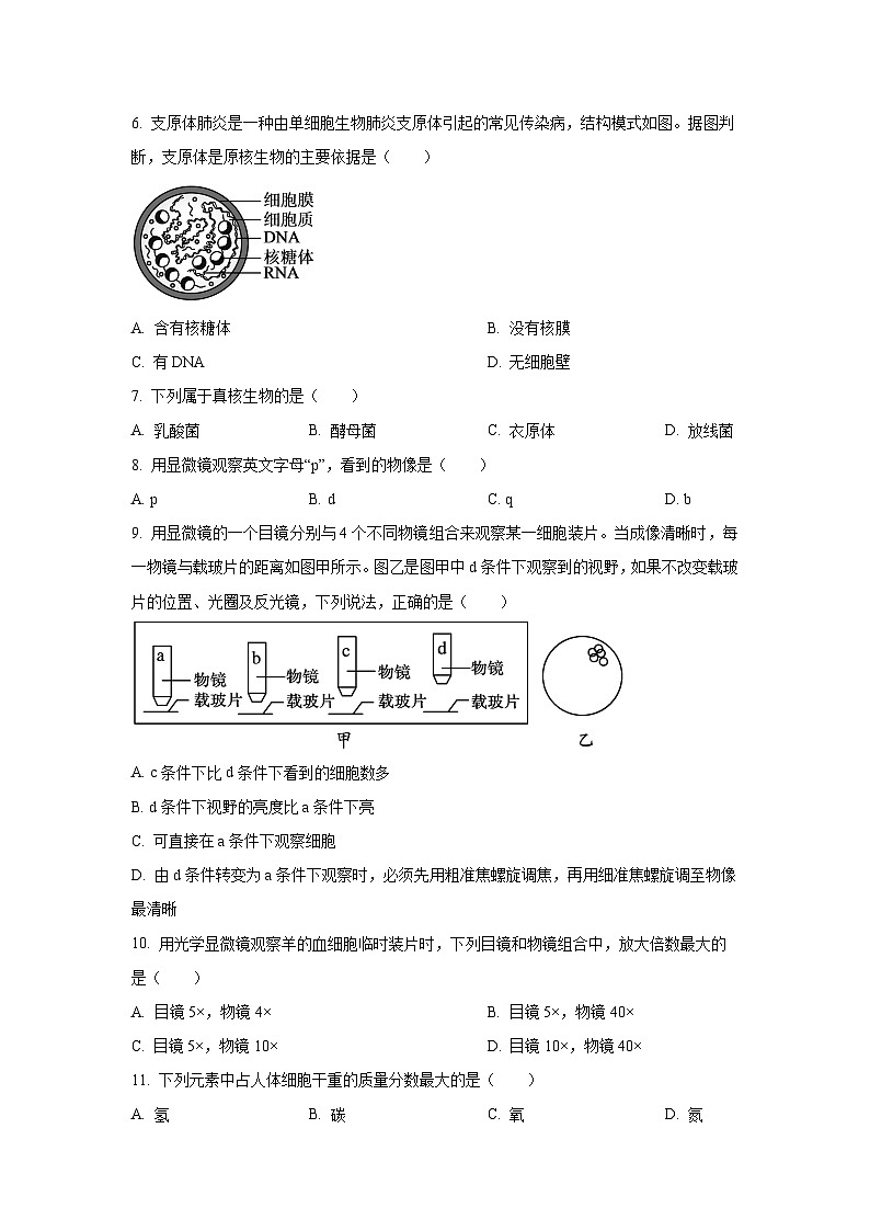 辽宁省高中协作体2025-2026学年高一上学期期中生物试卷（学生版）第2页