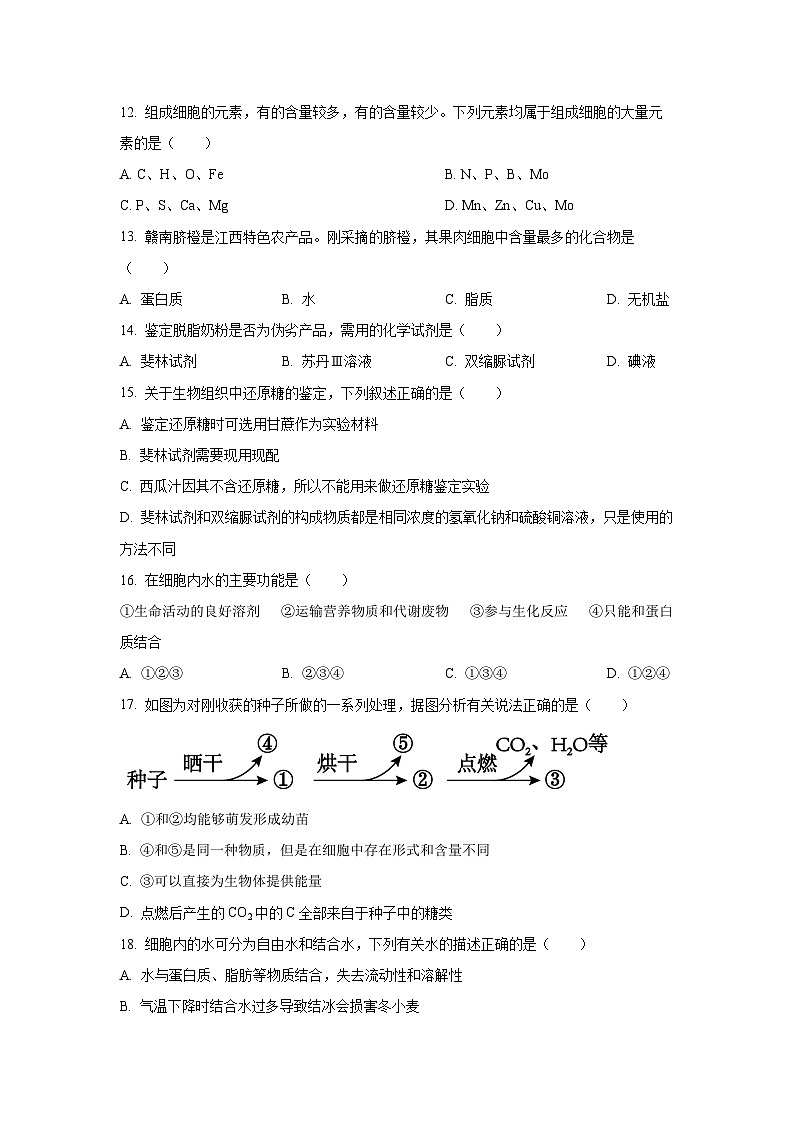 辽宁省高中协作体2025-2026学年高一上学期期中生物试卷（学生版）第3页
