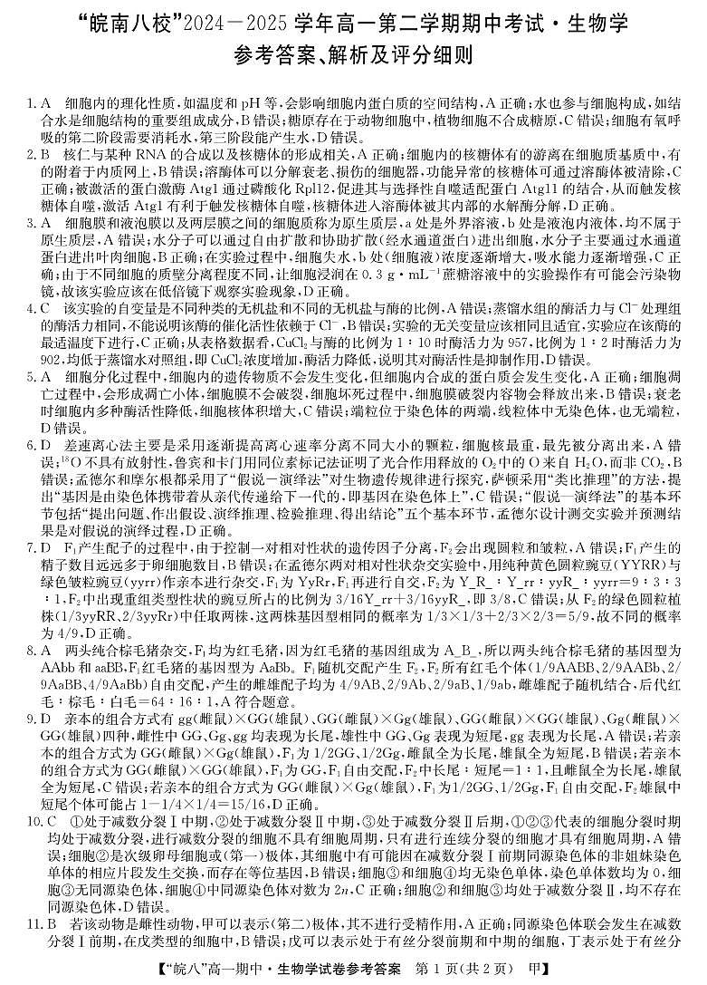 安徽省皖南八校2024-2025学年高一下学期期中考试生物试题（甲卷）答案第1页