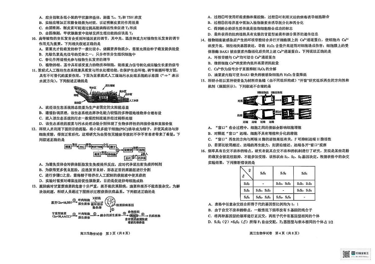 2026届广西壮族自治区高三模拟预测生物试题（高考模拟）第2页