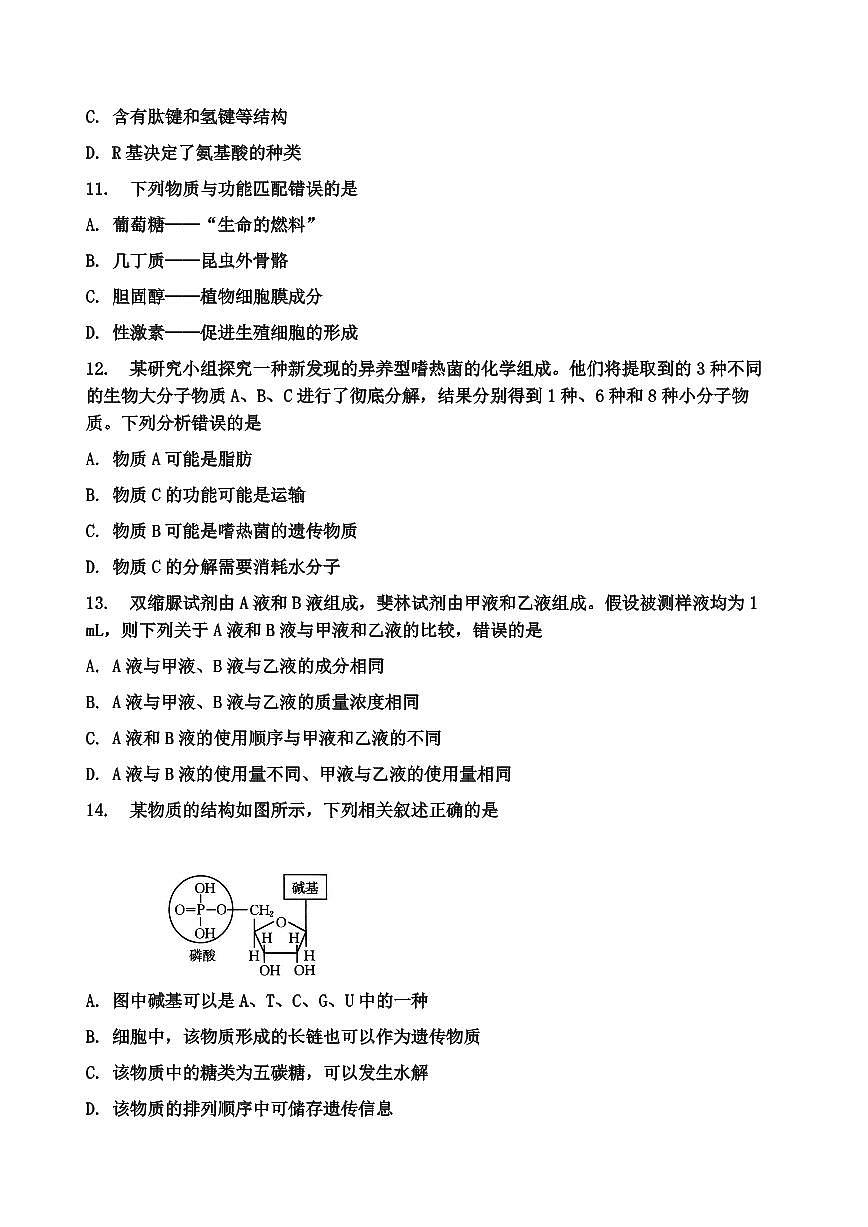 金太阳广西省2028届高一上学期10月月考（26-44A）生物试卷（含答案）第3页