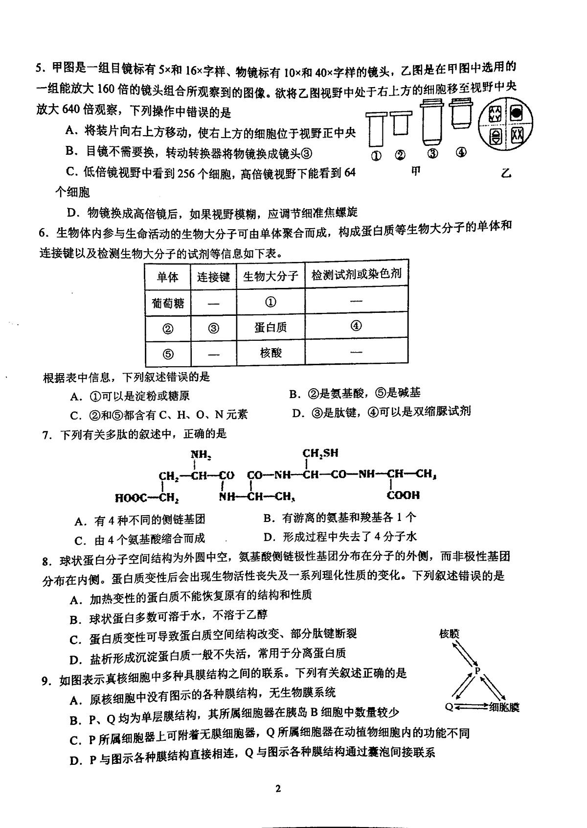 江苏省苏州市中学校2024-2025学年高一上学期11月期中生物试题第2页