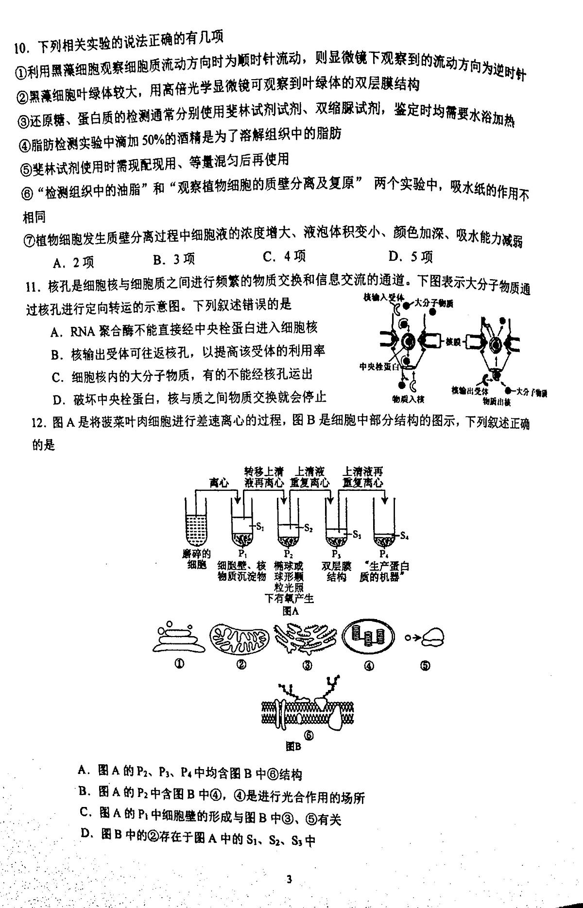 江苏省苏州市中学校2024-2025学年高一上学期11月期中生物试题第3页