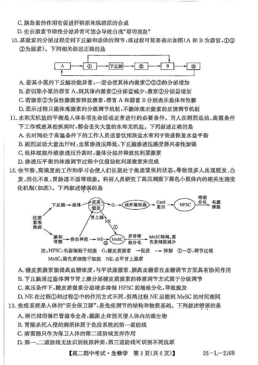 安徽省县中联盟2025-2026学年第一学期高二期中考试生物试卷（含答案）第3页