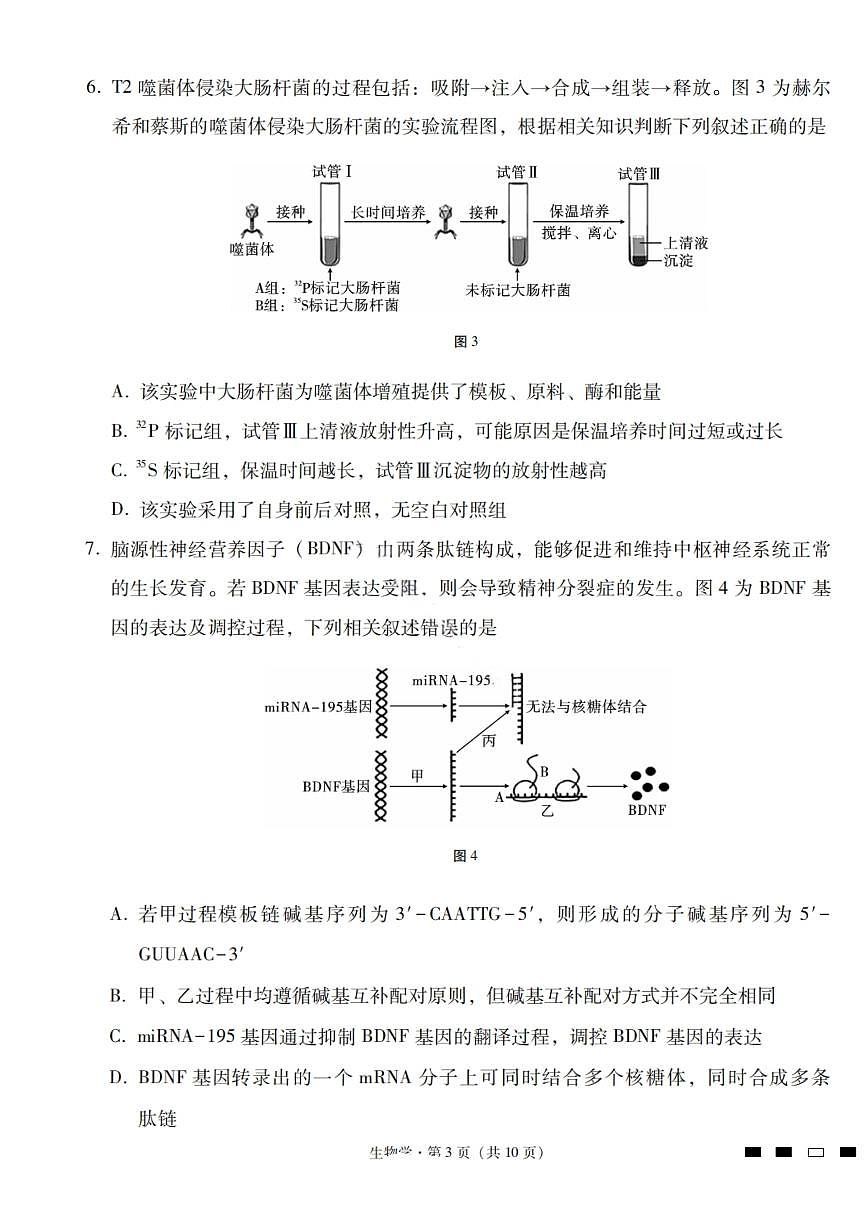2026届云南省三校高三上学期高考备考实用性联考卷（四）生物试卷（含答案）第3页