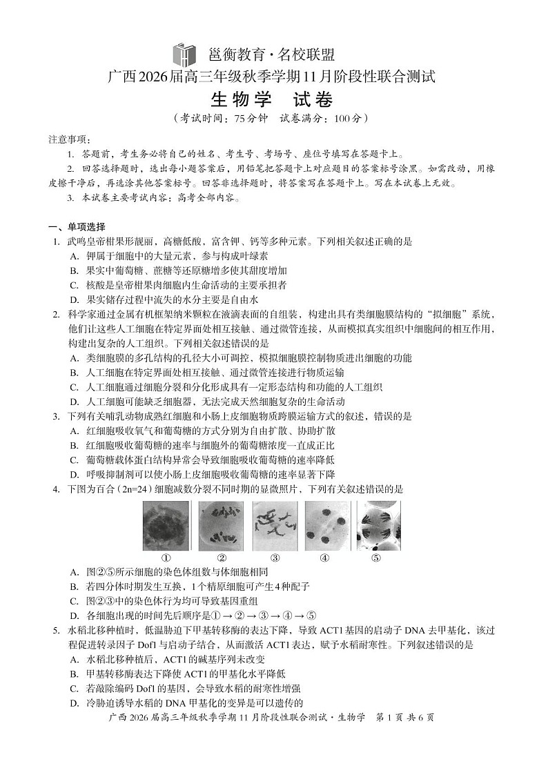 广西名校联考2025-2026学年高三上学期11月考试生物试卷第1页