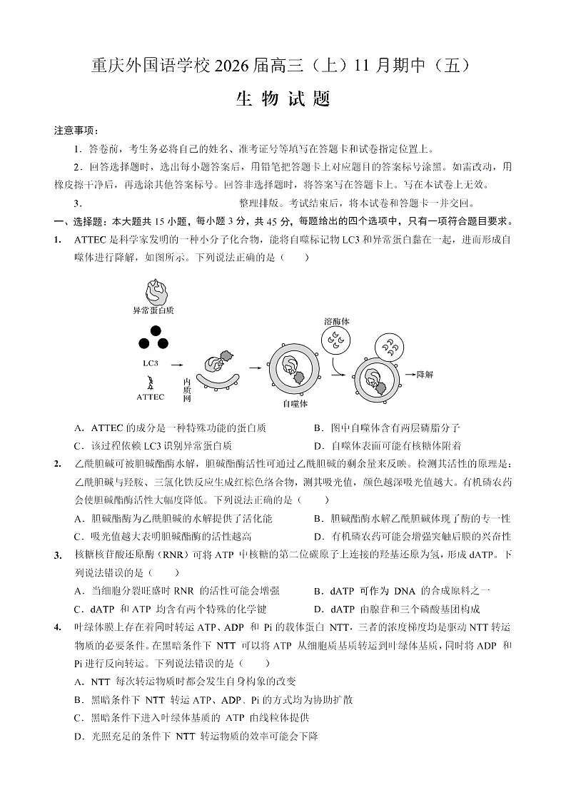 重庆市实验外国语学校2025-2026学年高三上学期11月考试生物试卷第1页