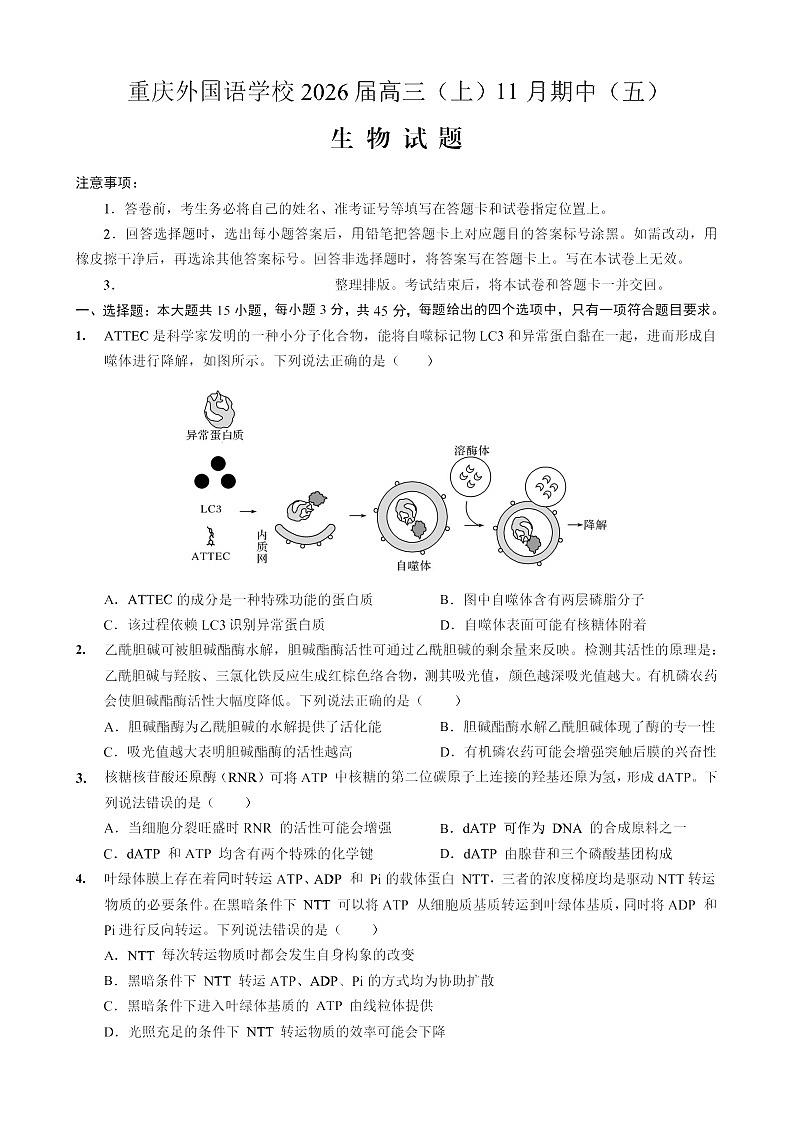 重庆市实验外国语学校2025-2026学年高三上学期11月考试生物试卷第1页