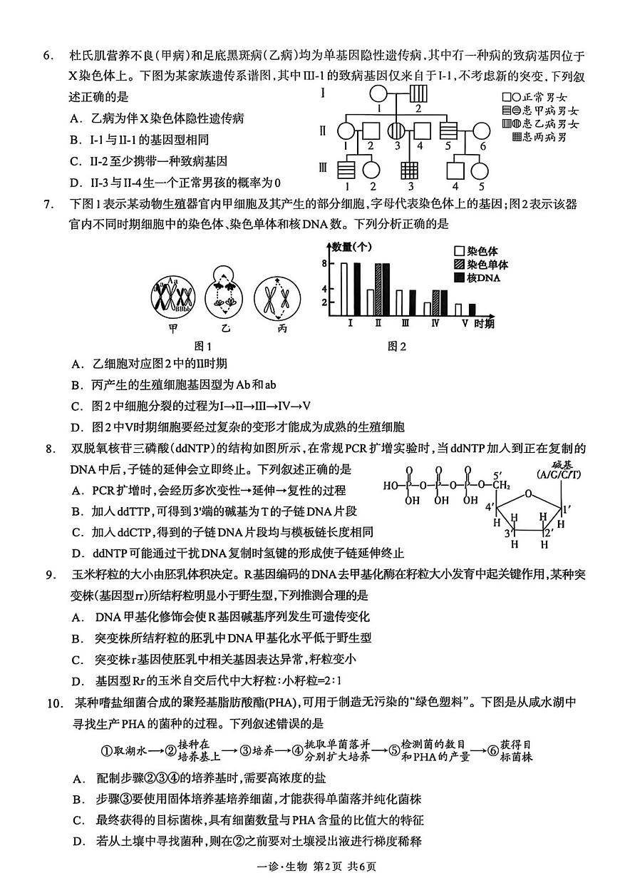 泸州市高2023级第一次教学质量诊断性考试生物学第2页