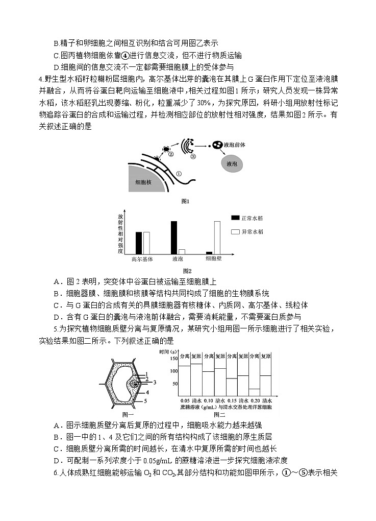 生物试题第2页