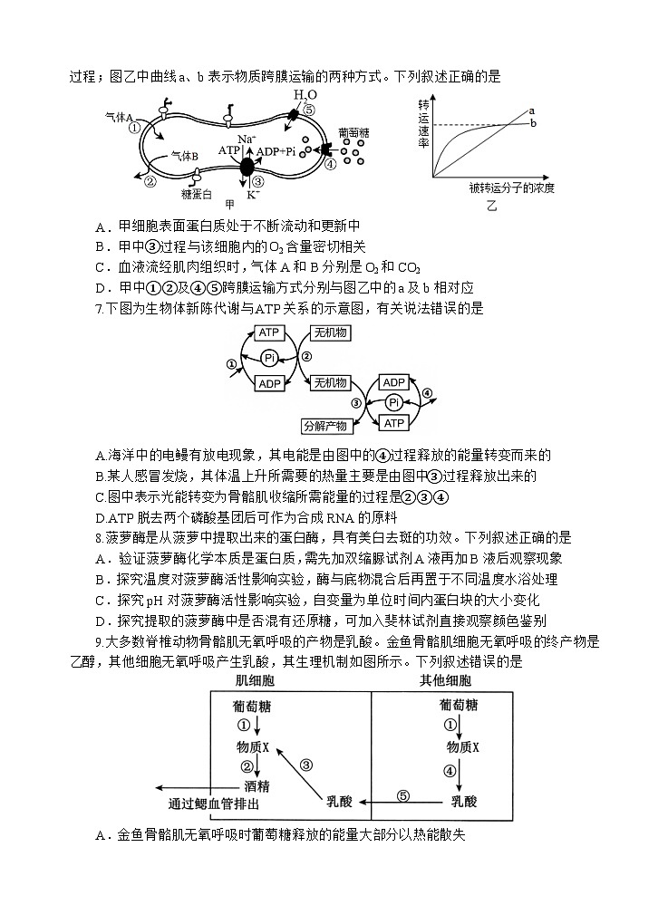 生物试题第3页