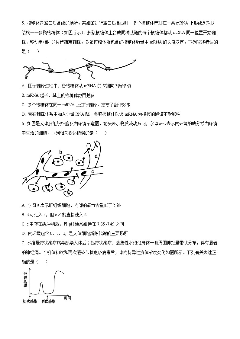 浙江省七彩阳光新高考研究联盟2025-2026学年高二期中联考生物试题  Word版无答案第2页