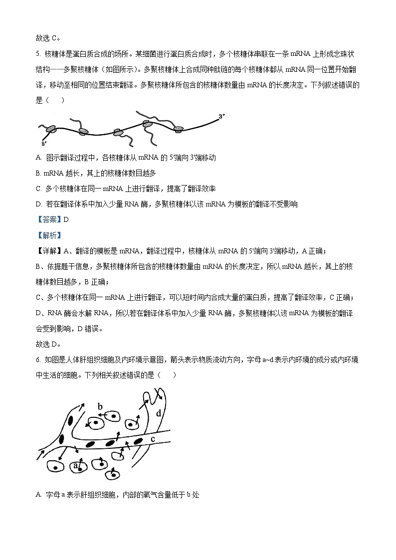 浙江省七彩阳光新高考研究联盟2025-2026学年高二期中联考生物试题  Word版含解析第3页