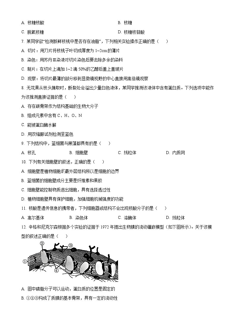 浙江省七彩阳光2025-2026学年高一上学期期中11月生物试卷  Word版无答案第2页